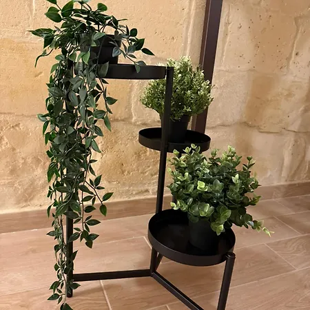 La Casa Nel Tufo Apartment Canosa di Puglia
